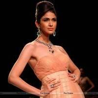 India International Jewellery Week 2013 - Day 2 Photos | Picture 529785