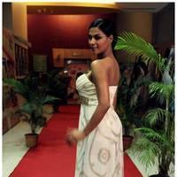 Veena Malik - Zindagi 50 - 50 Movie Premiere Photos | Picture 464877