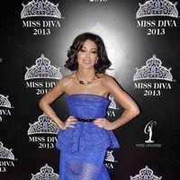 Sahar Biniaz - Red carpet - Miss Diva 2013 Photos | Picture 565730