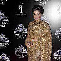 Raveena Tandon - Red carpet - Miss Diva 2013 Photos