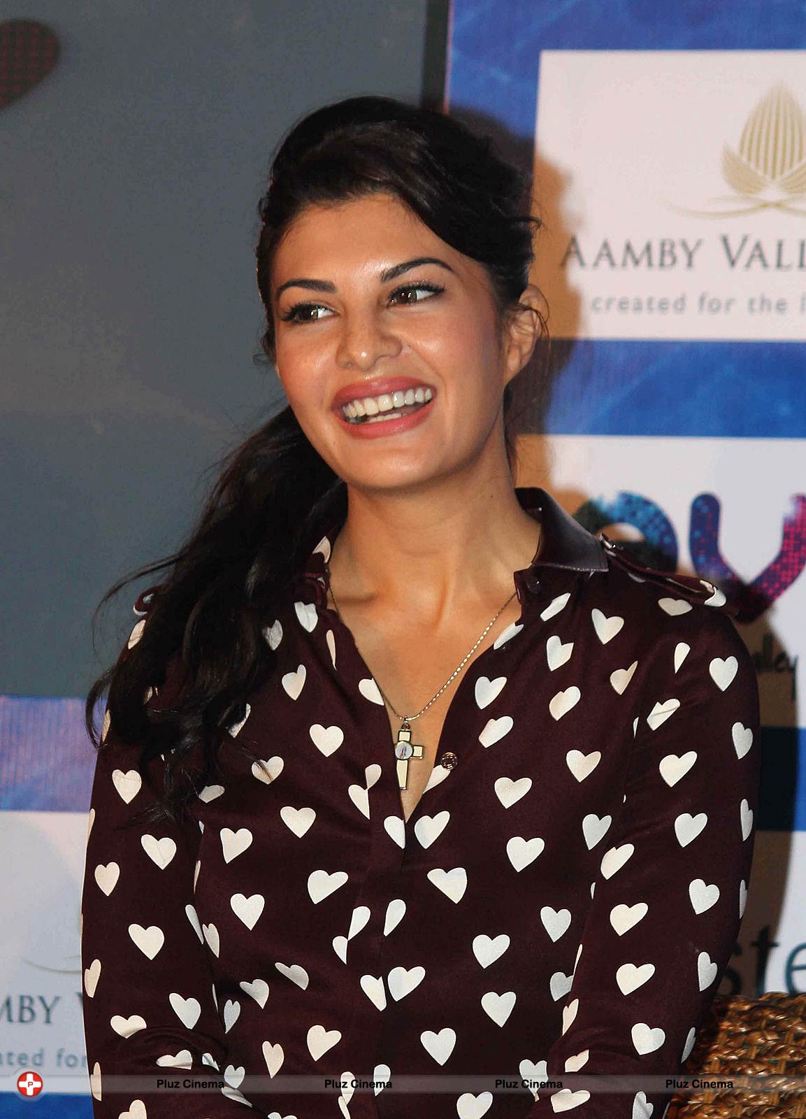 Jacqueline Fernandez - Launch of Enchanted Valley Carnival 2013 Photos | Picture 566827