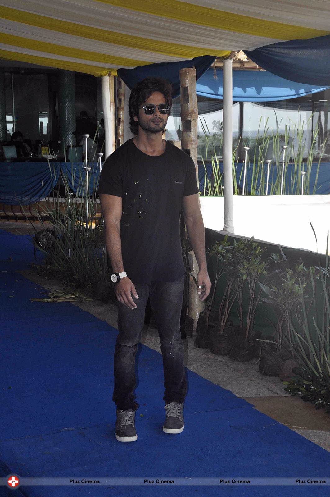 Shahid Kapoor - Shahid, Ileana during media interaction for the promotion of Phata Poster Nikla Hero Photos | Picture 567258