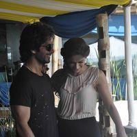Shahid, Ileana during media interaction for the promotion of Phata Poster Nikla Hero Photos | Picture 567246