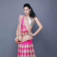 Celebrations come alive with Festive Collection unveiled by Chhabra 555 Photos | Picture 567341