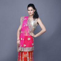 Celebrations come alive with Festive Collection unveiled by Chhabra 555 Photos | Picture 567342