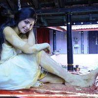 Monal Gajjar - Nankam Pirai Movie Stills | Picture 245525