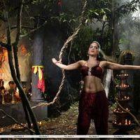 Shraddha Das - Nankam Pirai Movie Stills | Picture 245545