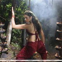 Shraddha Das - Nankam Pirai Movie Stills | Picture 245557
