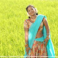 Inbanila - Palayamkottai Movie Hot Stills | Picture 246902