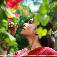 Soundarya Movie Hot Stills | Picture 247300