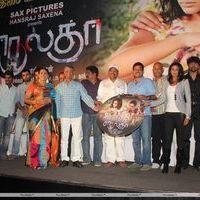 Charulatha Movie Audio Launch Stills. | Picture 256294