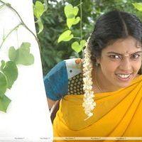 Janavi - Puthiya Kaaviyam Movie  Hot Stills | Picture 257832