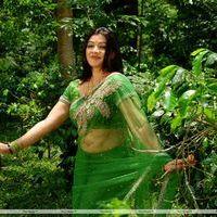 Aarthi Agarwal - Azhagiya Vanamum Arputha Siruvanum Movie Stills