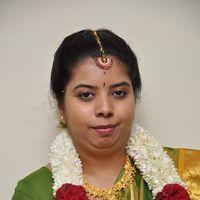 Producer M Ramanathan Daughter Wedding Photos | Picture 331282