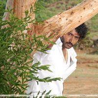 Pintu - Vellachi Movie Stills | Picture 333326