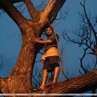 Santhanam - Kanna Laddu Thinna Aasaiya Movie Stills | Picture 335731