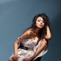 Actress Meenakshi Hot Stills | Picture 339259