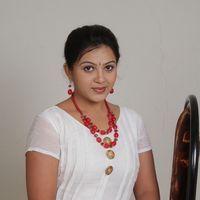 Swetha Rao New Stills | Picture 337820