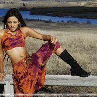 Neha Sharma - Siruthai Puli Movie Stills  | Picture 222721