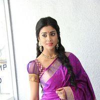 Shriya Saree  Photos | Picture 223099