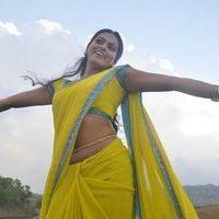 Puthu Mughangal Thevai Movie Stills | Picture 223513