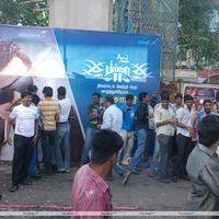 Ajith Fans Celebrate Billa 2 Release Stills | Picture 228237