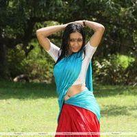 Udhayathara - Vettaiyadu Movie Hot  Stills | Picture 231389