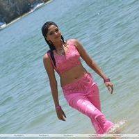 Sunaina - Pandi Oli Perukki Nilayam Movie Stills | Picture 233891