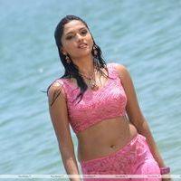 Sunaina - Pandi Oli Perukki Nilayam Movie Stills | Picture 233899