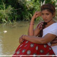 Actress Sowgandhi Half Saree in Kutralam Movie Stills | Picture 235624