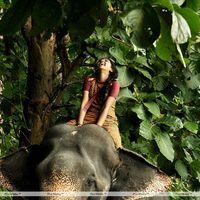 Lakshmi Menon - Kumki Movie Stills | Picture 240685