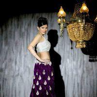 Actress Divya Bhandari Stills | Picture 241940