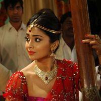 Shriya Saran - Chandra Movie Stills | Picture 241526