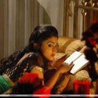 Shriya Saran - Chandra Movie Stills | Picture 241529