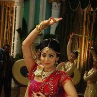 Shriya Saran - Chandra Movie Stills | Picture 241530