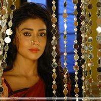 Chandra (Actress) - Chandra Movie Stills | Picture 241538