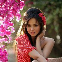 Sana Khan New Stills | Picture 211532