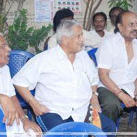 FEFSI Union Elections Stills | Picture 213090