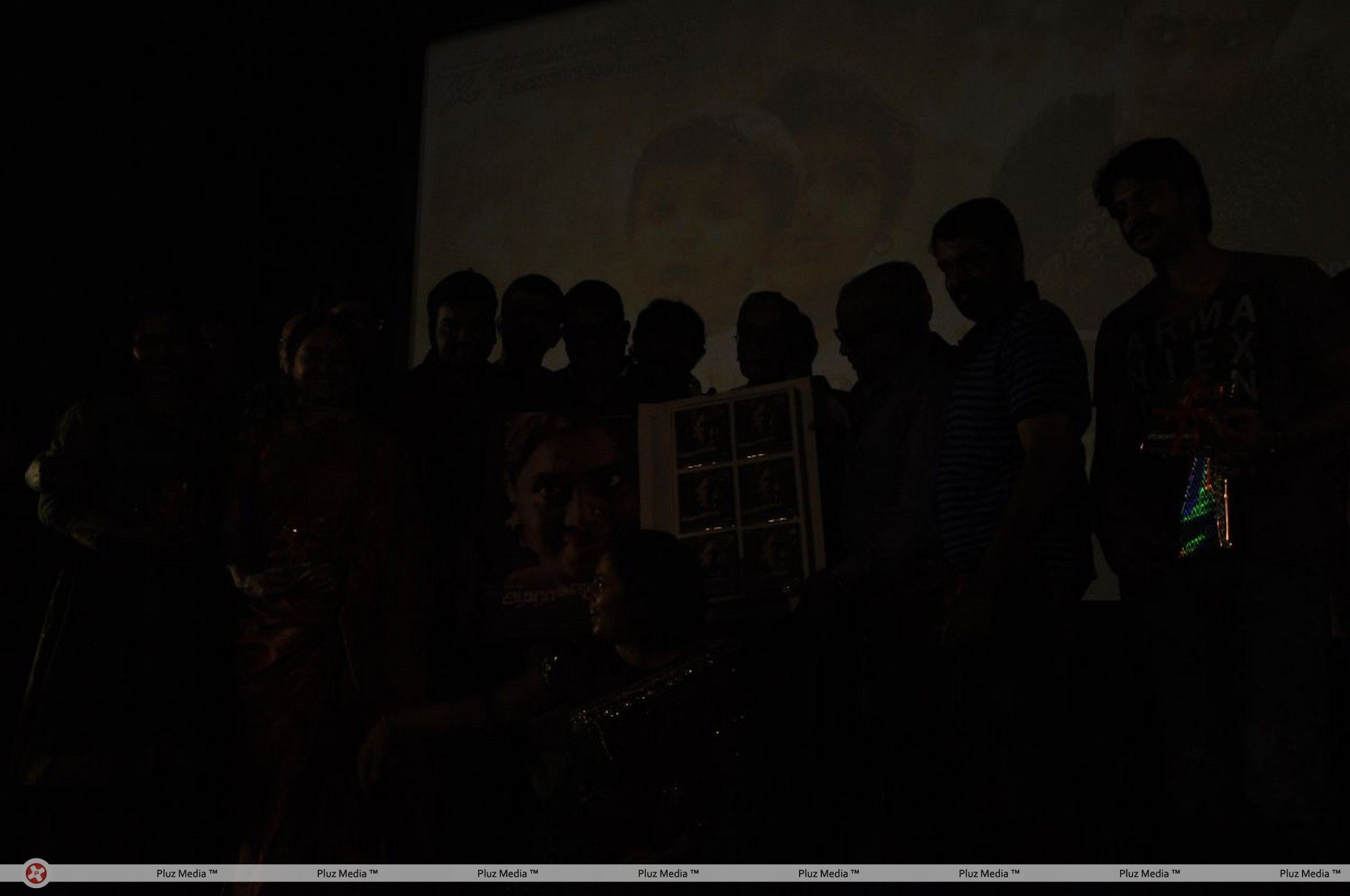Aarohanam Movie Audio Launch Stills | Picture 213625