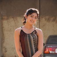 Pranitha - Saguni Movie Stills | Picture 214322