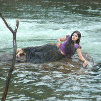 Meghana Raj - Jakkamma Movie Stills | Picture 181822