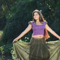 Meghana Raj - Jakkamma Movie Stills | Picture 181844