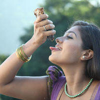 Meghana Raj - Jakkamma Movie Stills | Picture 181867