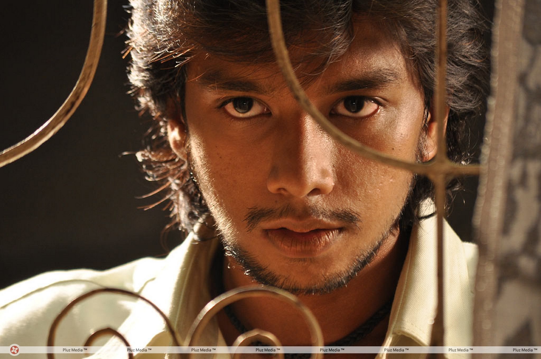 Irfan - Sundattam Movie Stills | Picture 290696