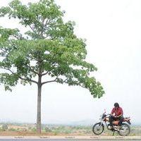 Sundattam Movie Stills | Picture 290635