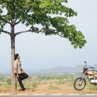 Sundattam Movie Stills | Picture 290663