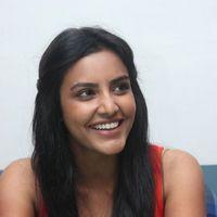 Priya Anand at English Vinglish Press Show Photos | Picture 291446