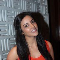 Priya Anand at English Vinglish Press Show Photos | Picture 291462