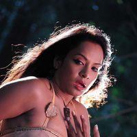 Kasi Kuppam  Movie Hot  Stills | Picture 293411