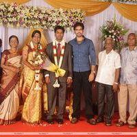 Sibiraj - Producer Chozha Ponnurangam's Daughter Marriage  Reception Stills
